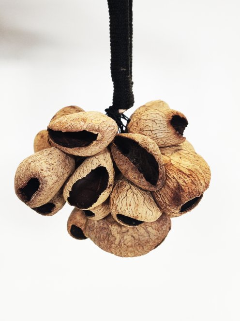 African seeds rattle Pengi CRE23