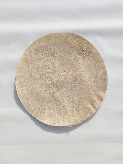 Very thin mule skin with hair for djembe drum M