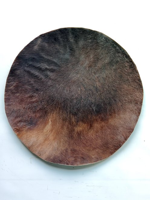 Large thick horse skin with hair for djembe drum