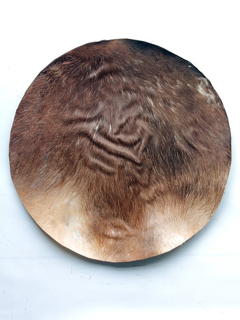 Large thick horse skin with hair for djembe drum