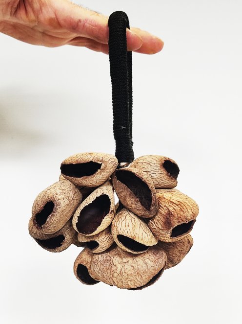 African seeds rattle Pengi CRE23