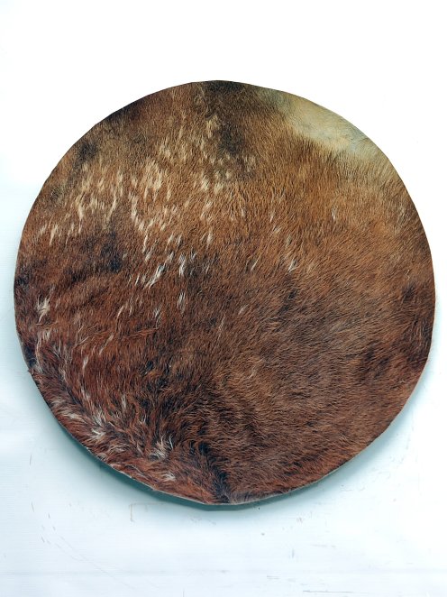 Large very thin horse skin with hair for djembe drum