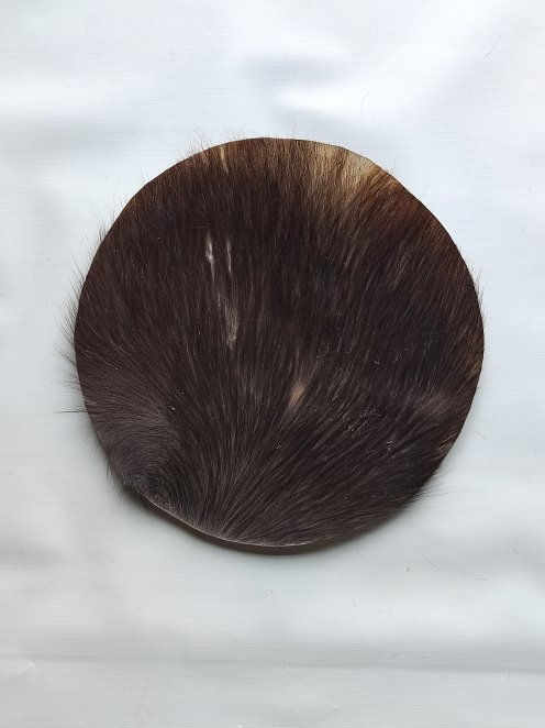Small thick steer skin, buffalo skin, bull skin or cow skin for djembe drum percussion