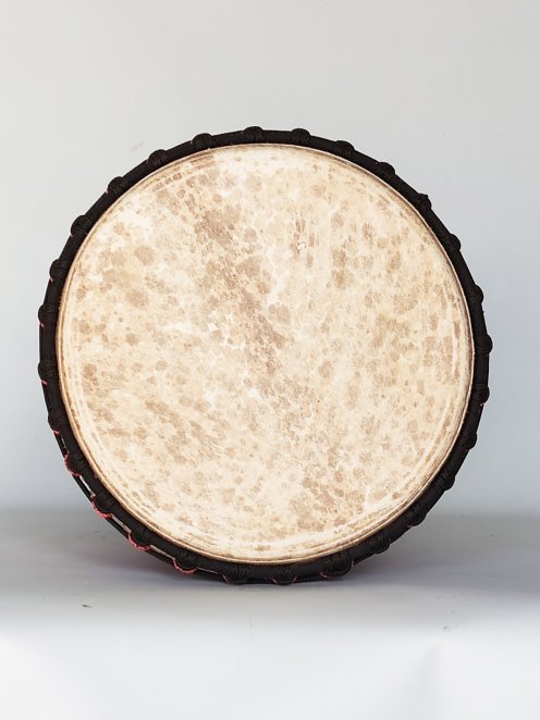 Fan palm (kolo kolo) Mali djembe - Top djembe drum