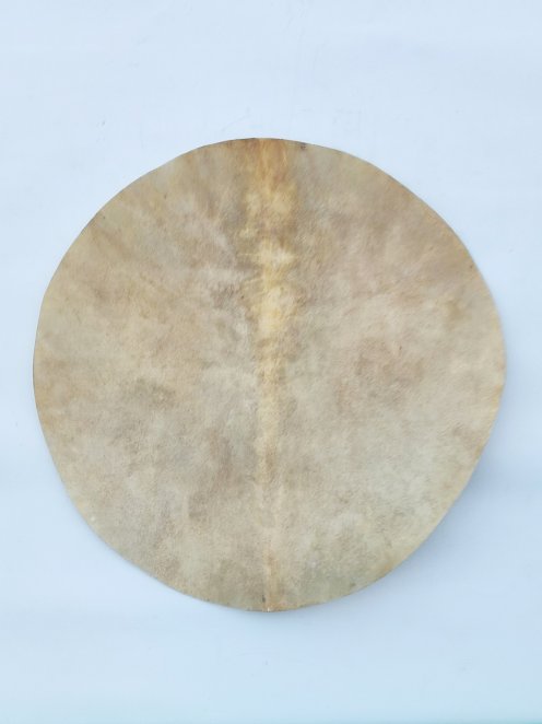 Large thin shaved djembe drum percussion elk skin