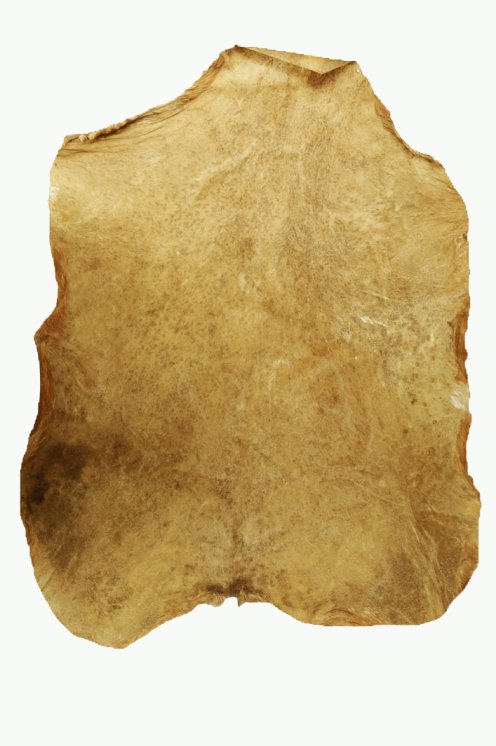 Shaved Sahel goat skin - Djembe drum skin