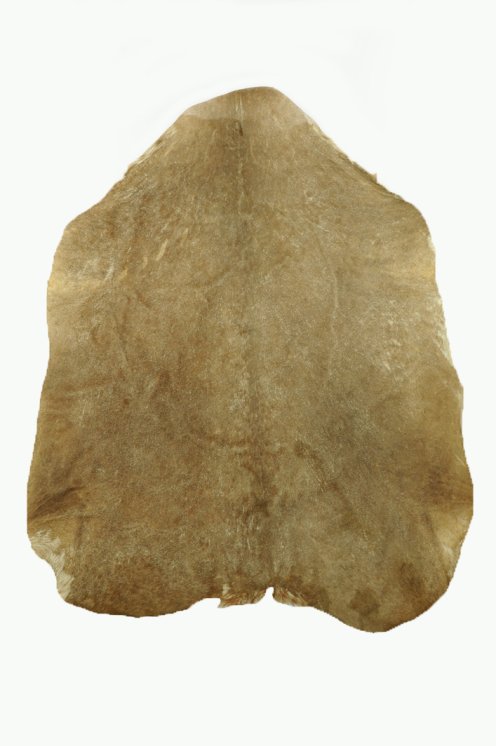 Shaved Sahel goat skin - Djembe drum skin