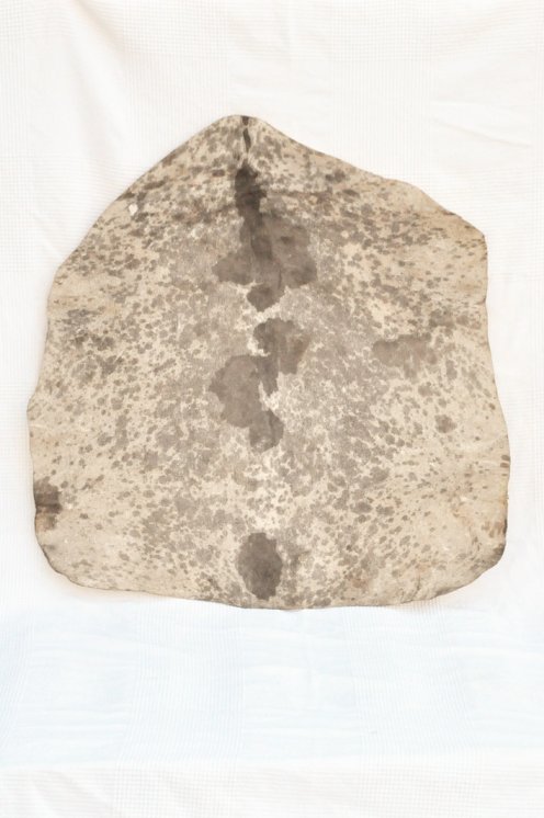 Thin spotted white Sahel goat skin - Djembe drum skin