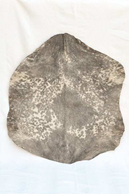 Spotted white Sahel goat skin - Djembe drum skin