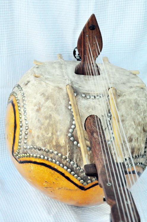 Kamele ngoni haut de gamme 10 cordes