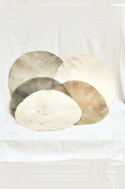 Downgraded shaved cervid skin for drum
