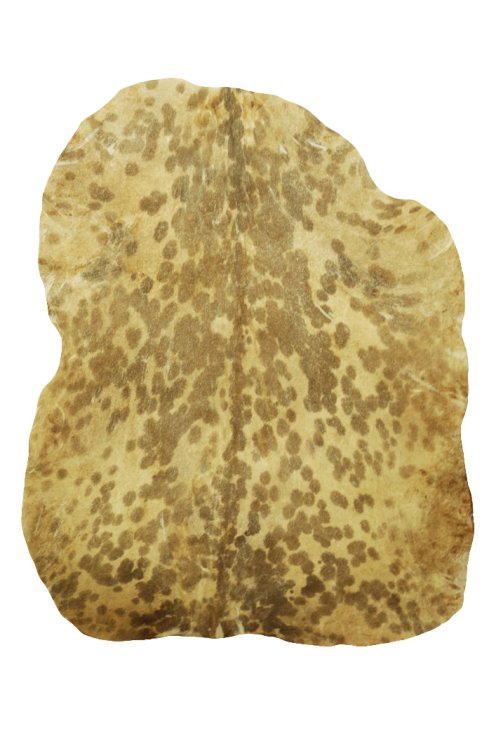 Thin spotted white Sahel goat skin - Djembe drum skin