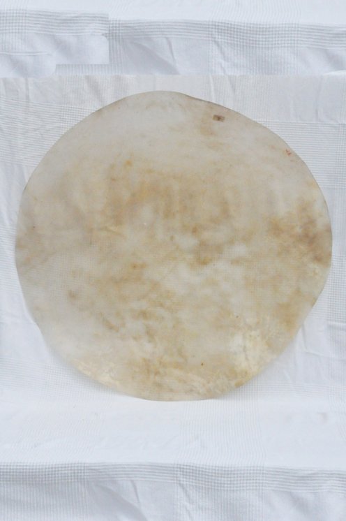 Very large cow skin without hair for djembe drum percussion