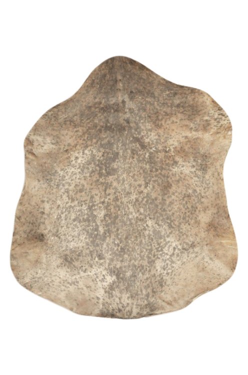 Thin speckled brown Sahel goat skin - Djembe drum skin