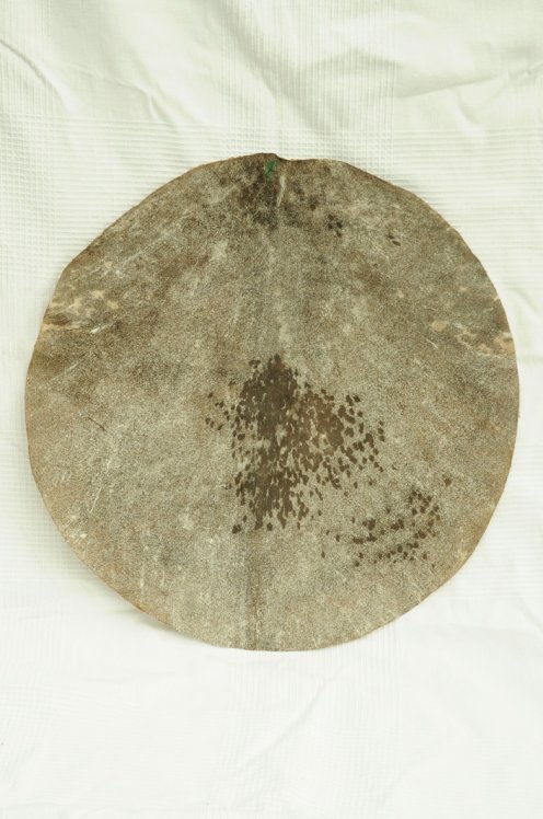 Medium thickness shaved goat cut skin for djembe drum - Djembe skin