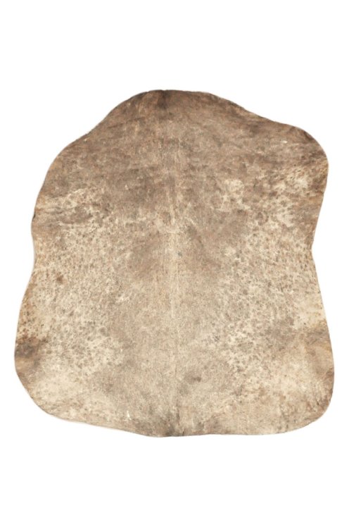 Thin speckled brown Sahel goat skin - Djembe drum skin