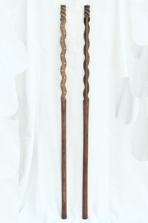 Kamale ngoni neck 10 strings