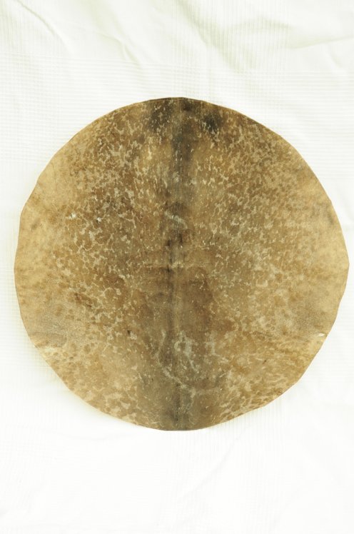 Thick shaved goat cut skin for djembe drum - Djembe skin