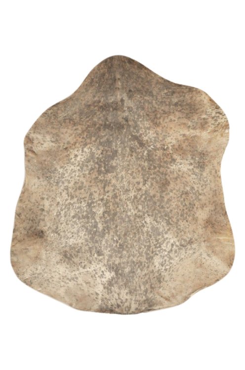 Thick speckled brown goat skin for djembe drum