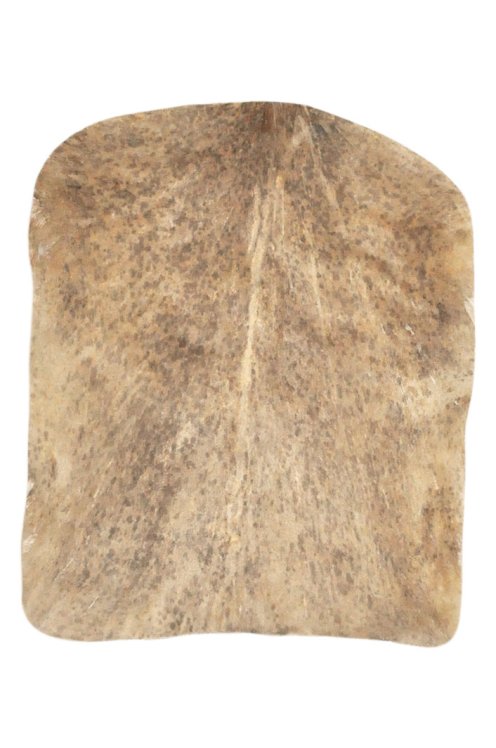 Thin speckled brown Sahel goat skin - Djembe drum skin