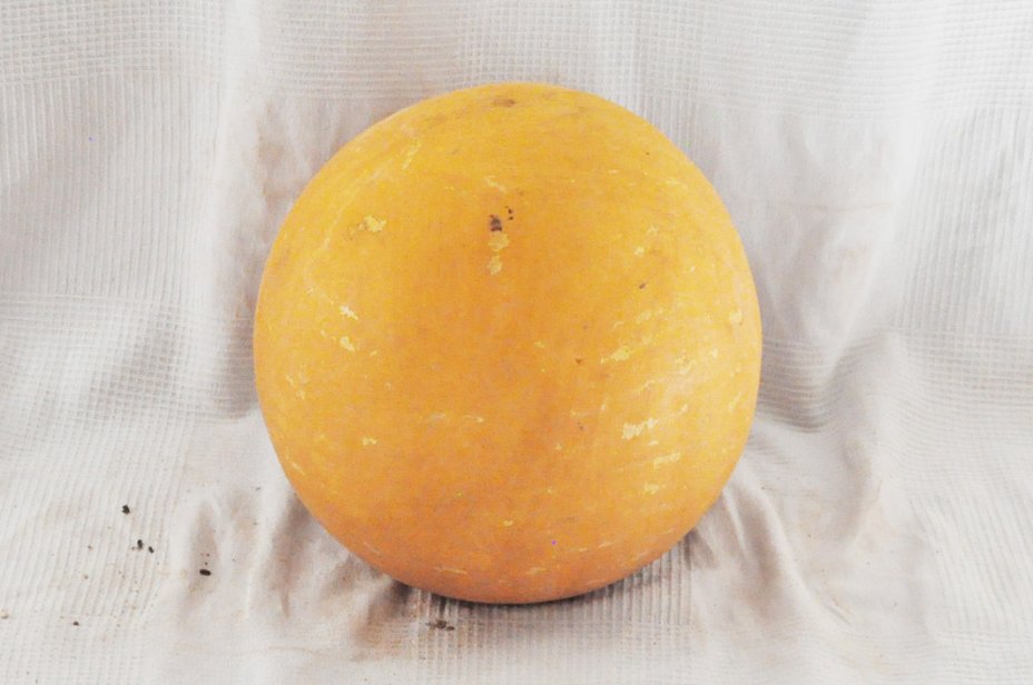 Ø25-26 cm whole calabash - Spherical gourd