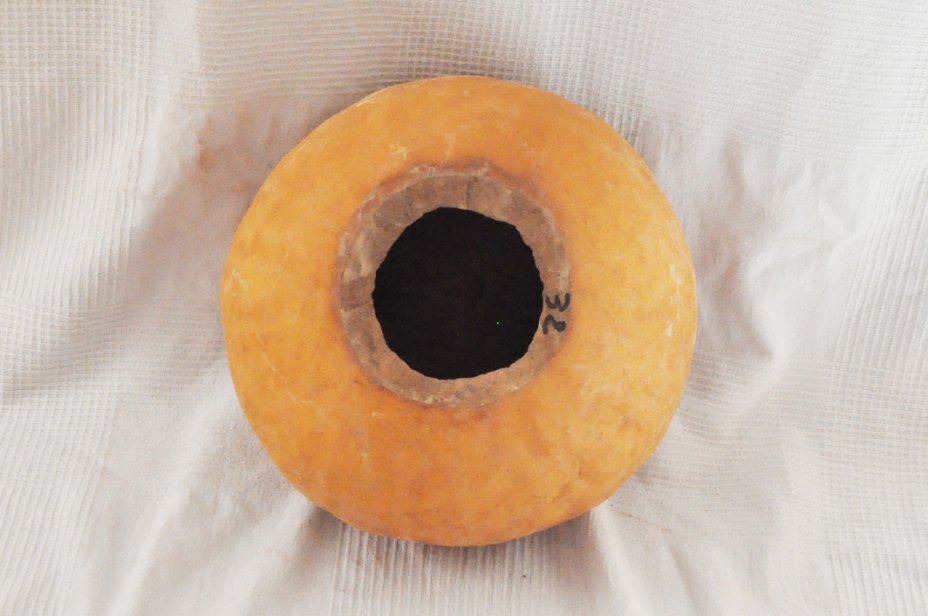 Ø31-32 cm whole calabash - Spherical gourd