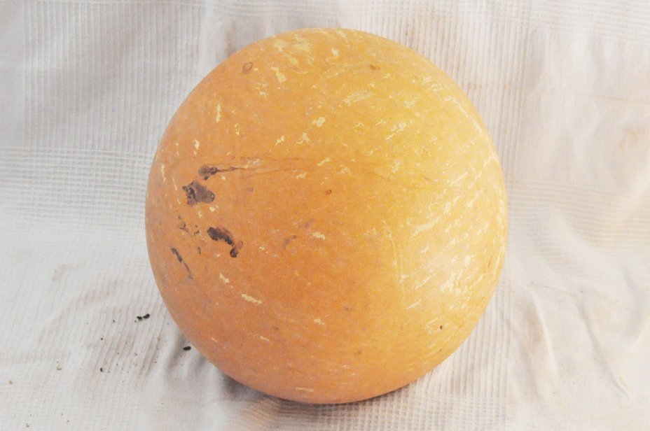 Ø55-56 cm whole calabash - Spherical gourd