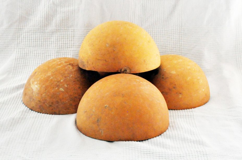 Ø15-16 cm half calabash - Hemispherical calabash