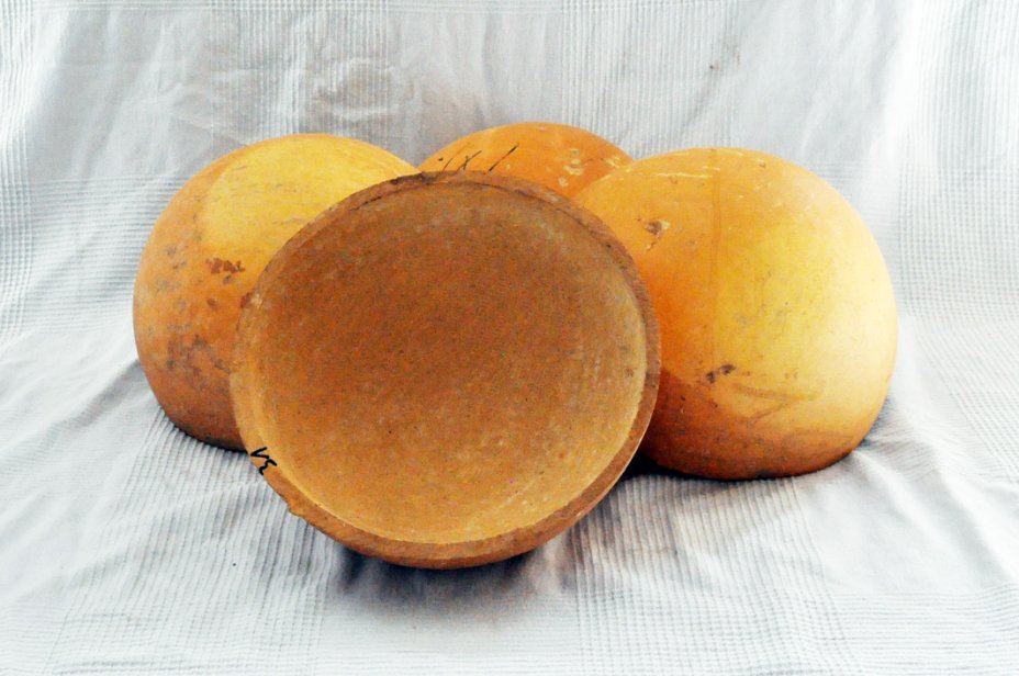 Ø31-32 cm half calabash - Hemispherical calabash