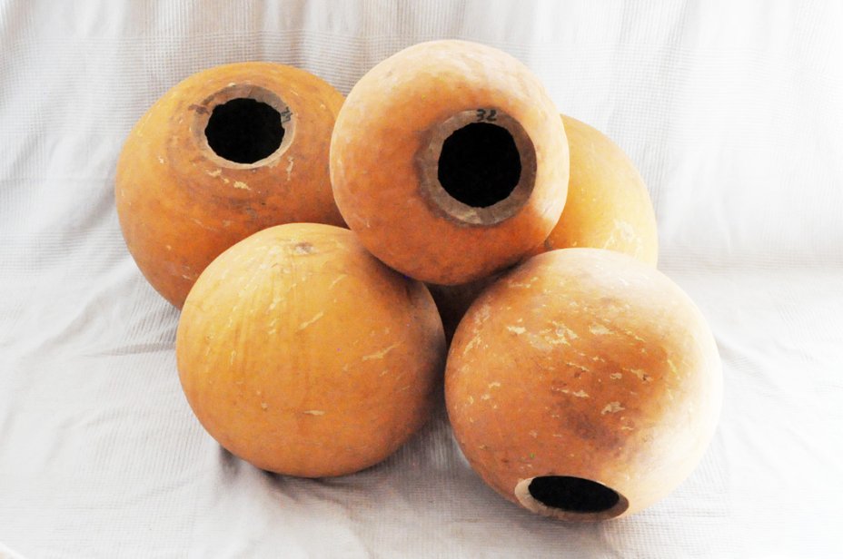 Ø31-32 cm whole calabash - Spherical gourd