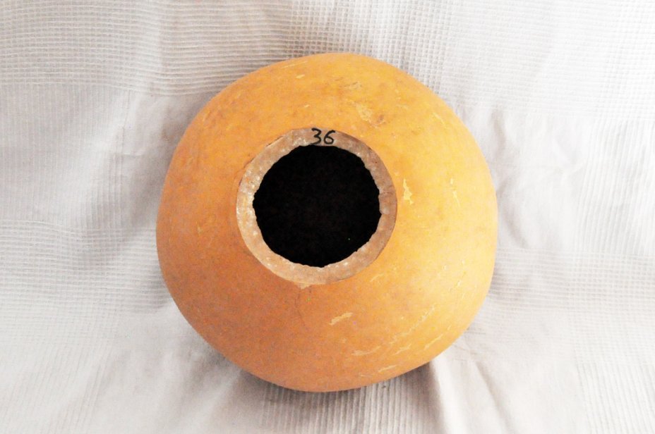 Ø35-36 cm whole calabash - Spherical gourd