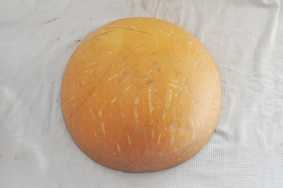 Ø43-44 cm half calabash - Hemispherical calabash