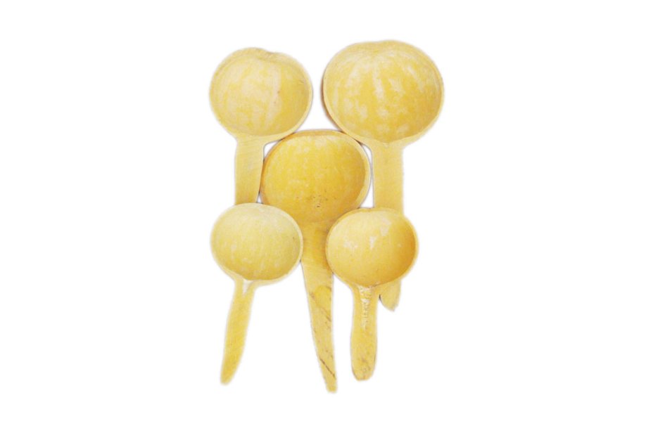 Calabash ladle - Spoon gourd Ø10-15 cm