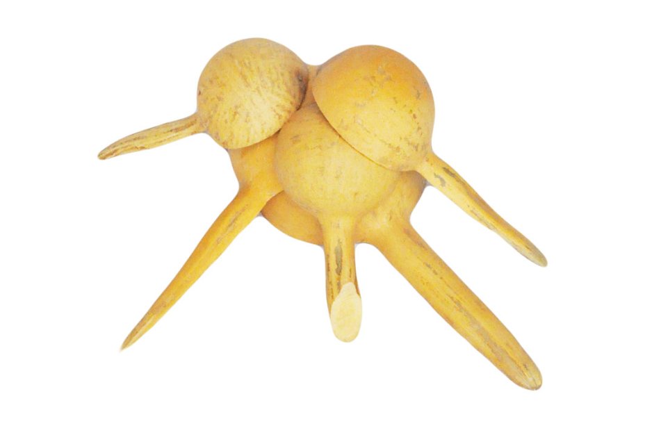 Calabash ladle - Spoon gourd Ø10-15 cm