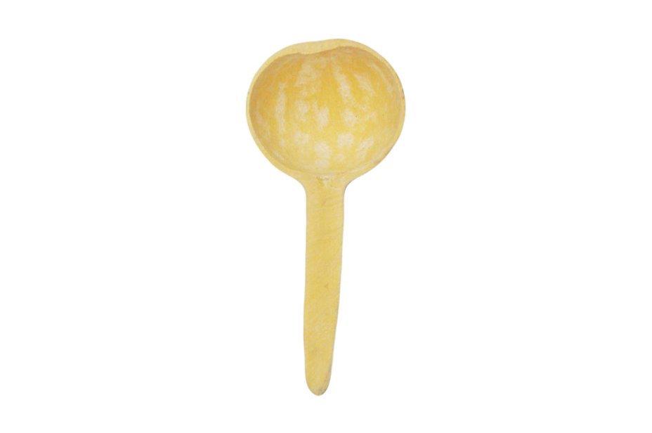 Calabash ladle - Spoon gourd Ø10-15 cm