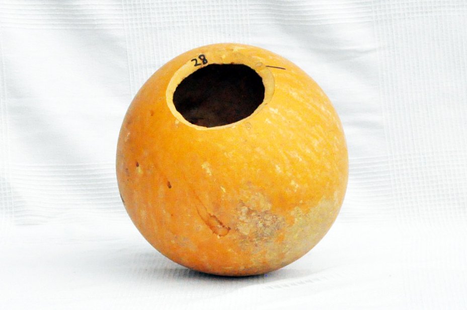 Ø27-28 cm whole calabash - Spherical gourd