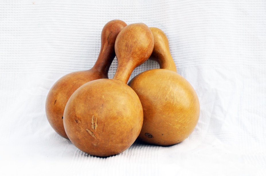Ø17-18 cm bottle calabash - Bottle gourd