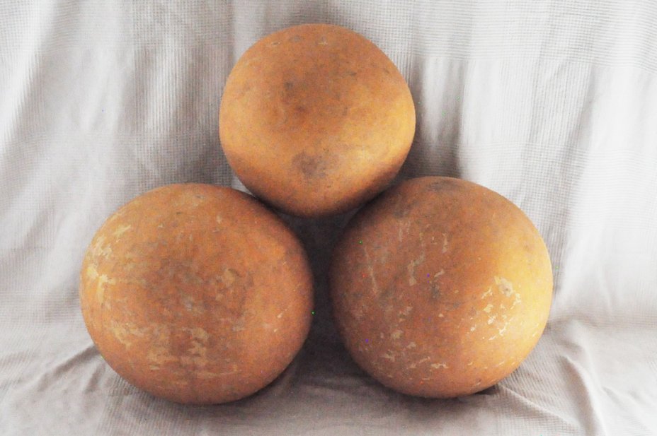 Ø47-48 cm whole calabash - Spherical gourd