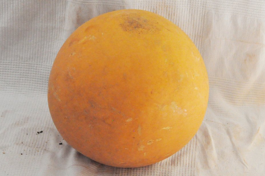 Ø53-54 cm whole calabash - Spherical gourd