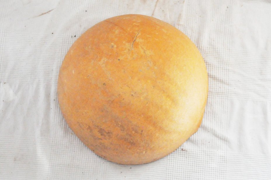 Ø39-40 cm half calabash - Hemispherical calabash
