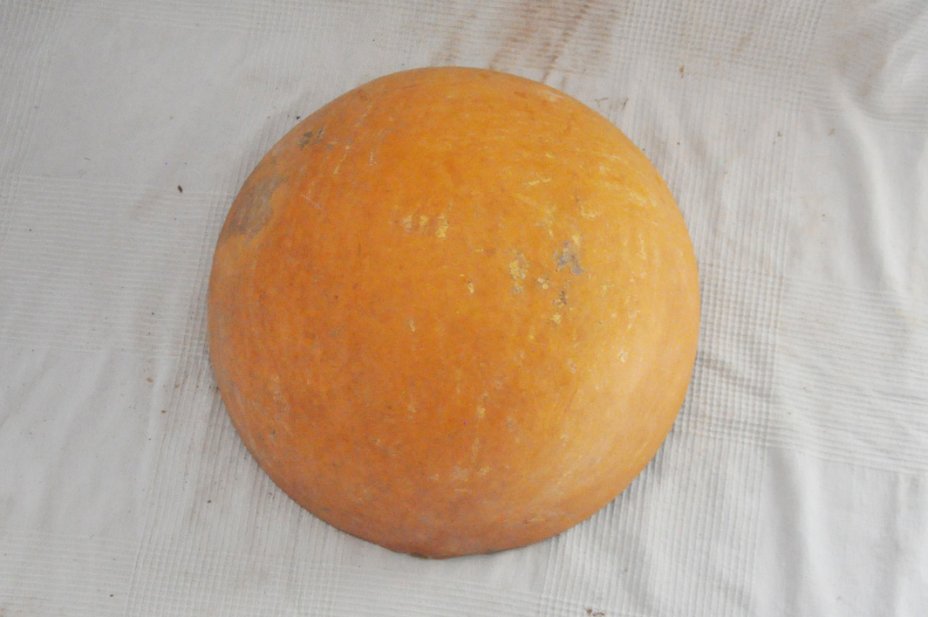Ø47-48 cm half calabash - Hemispherical calabash