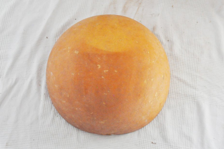 Ø51-52 cm half calabash - Hemispherical calabash
