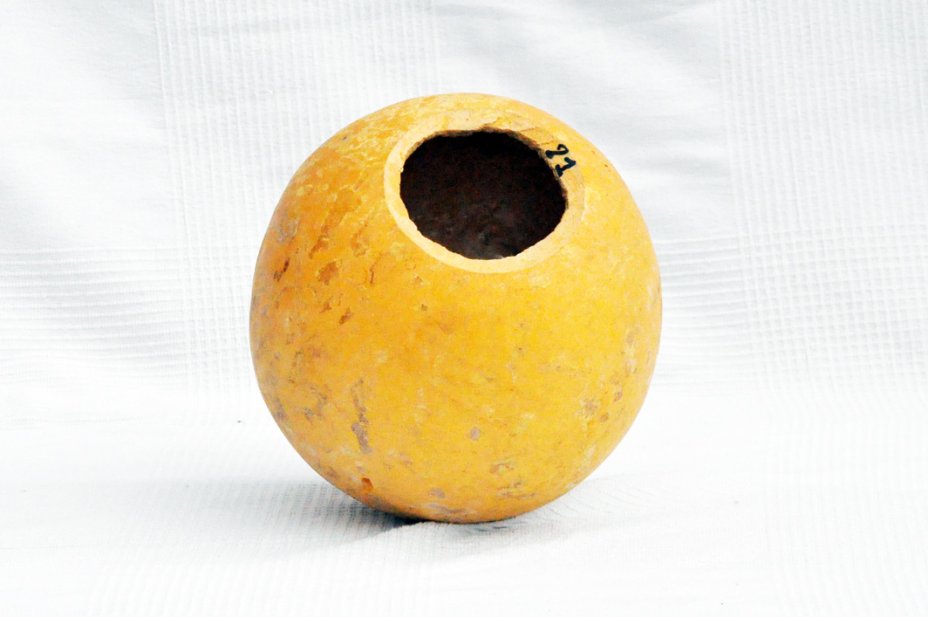 Ø21-22 cm whole calabash - Spherical gourd