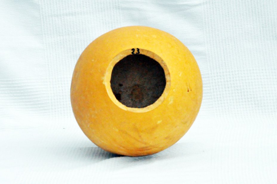 Ø23-24 cm whole calabash - Spherical gourd