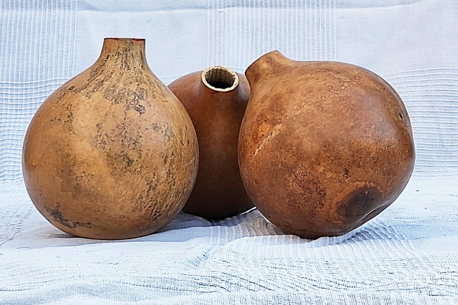 Ø11-12 cm whole calabash - Spherical gourd
