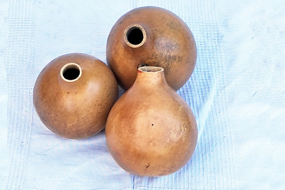 Ø15-16 cm whole calabash - Spherical gourd