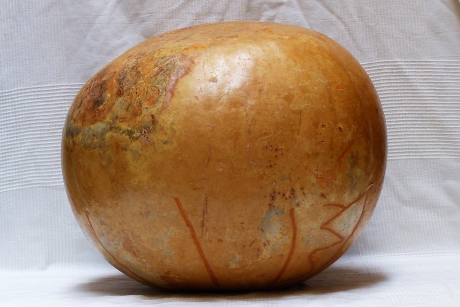 Ø59-60 cm whole calabash - Spherical gourd